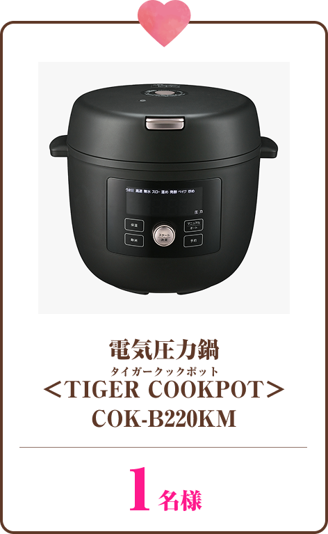 電気圧力鍋＜TIGER COOKPOT（タイガークックポット）＞COK-B220KM