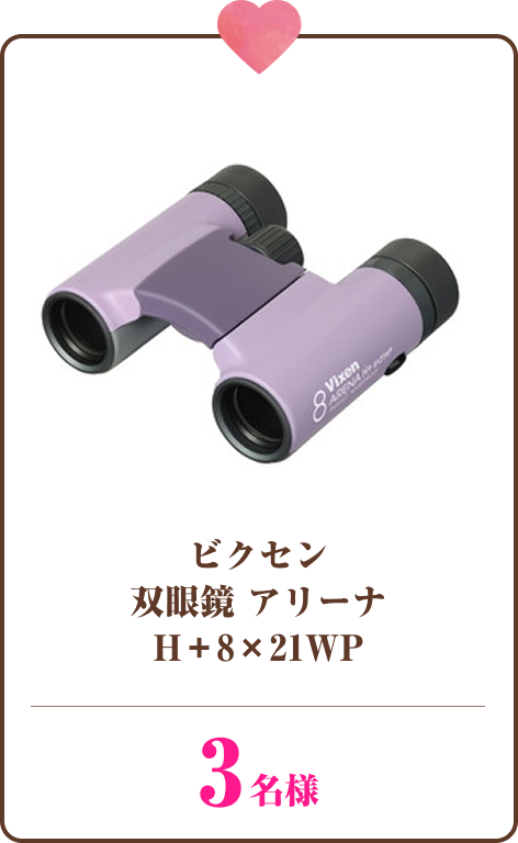 Vixen 双眼鏡 アリーナ H＋8x21WP